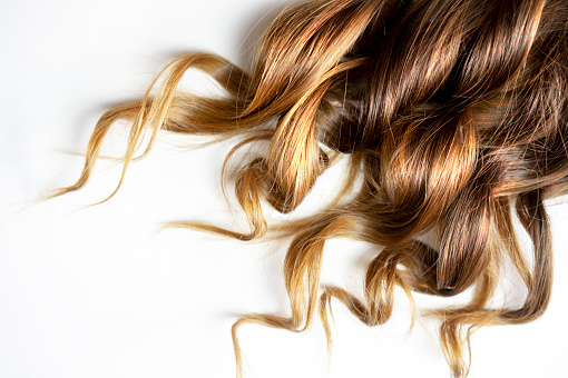 piece of brown curly shiny hair on white isolated background